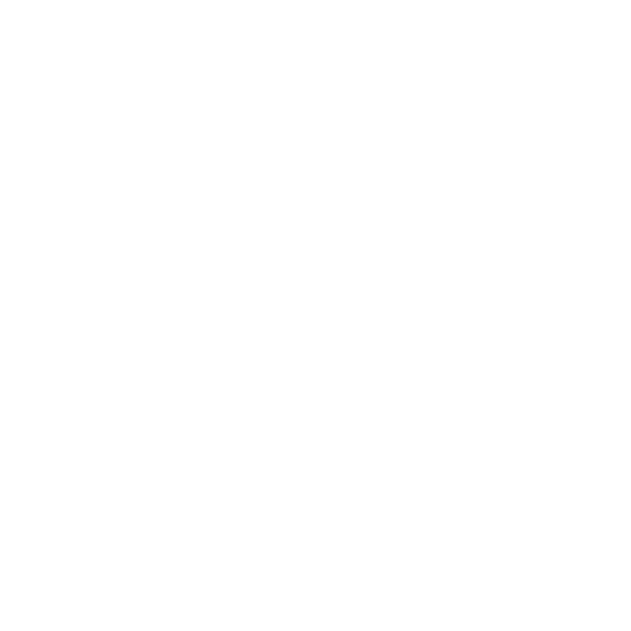 airster_logo